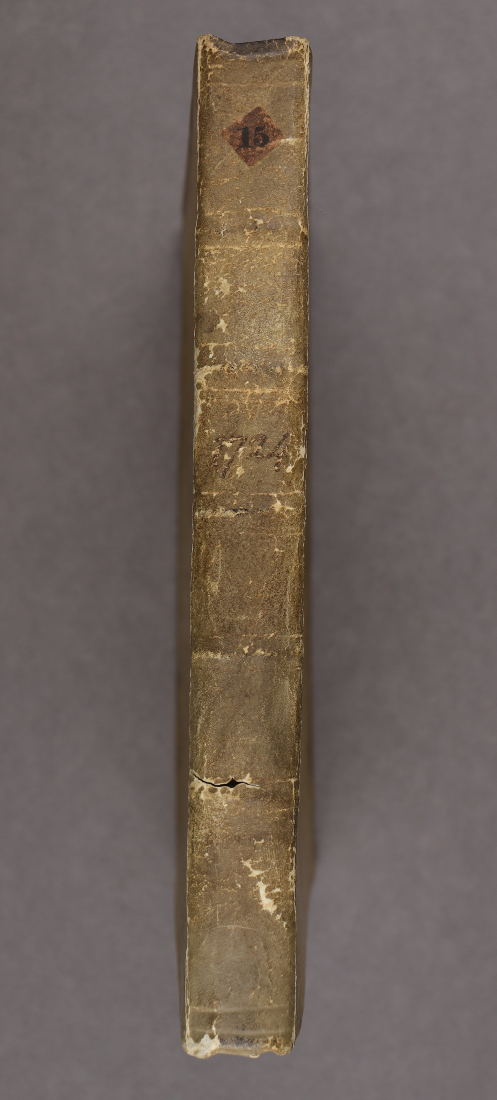 Spine
